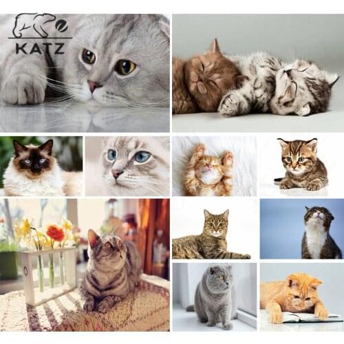 Cat Diamond Painting Animal Embroidery Crossing Diy Friend Diamond Mosaic Picture Art Gift Cross Stitch Home Decoration