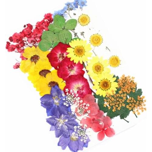 Stickers of dry flowers in uv resin, decorative, natural flowers, 3d, dry beauty, epoxy mold, DIY, filling jewelry, 1 bag