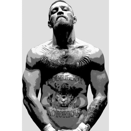CONOR MCGREGOR Art Film Print Silk Poster Home Wall Decor 24x36inch