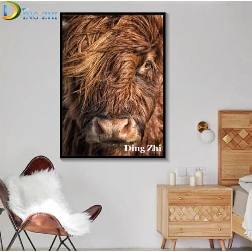 5D Diamond Painting Animal Highland Cattle Head Picture Diy Full Square Round Drill Mosaic Embroidery Cross Stitch Kit Decor