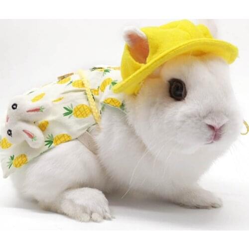 Cute Bunny Rabbit Cotton Clothing Suit Leash Lop-eared Decoration Costume Hamster Clothes Bunny Small Pet Accessories Kitten