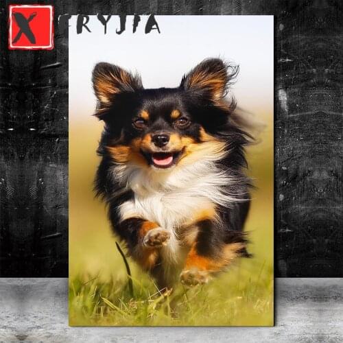 Diamond Painting chihuahua Full SquareRound Diamond Pattern Embroidery Cross Stitch mosaic 5D Rhinestone Painting home decor