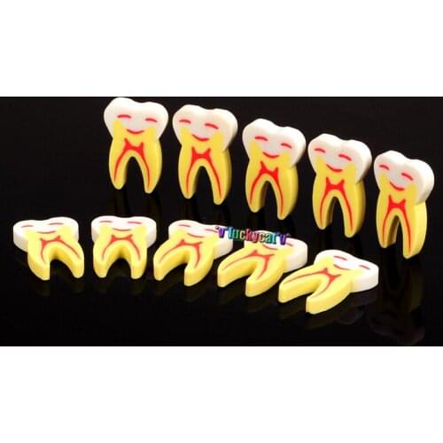 10pcs Cute Dental Gift Eraser Rubber Eraser Dental Clinic Great Gift