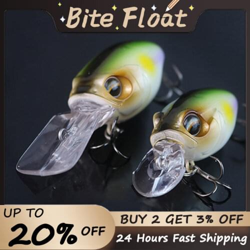 Bite Float Fishing Lure For Carp