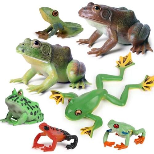 Childrens Cognitive Simulation Solid Animal Model Frog Bullfrog Tree Frog Frog Horn Pheasant Toad Toy Ornament