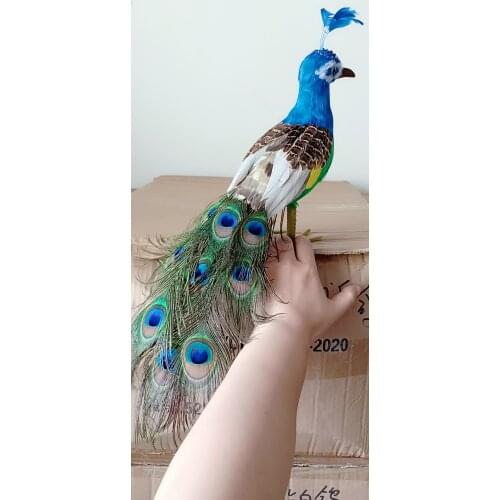 New real life peacock model foam&feather simulation peacock doll gift about 40cm xf3000