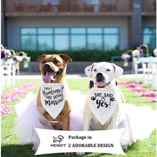 2pcs Wedding Dog Bandana Photo Props Pet Scarf Pet Decoration Accessories Black And White Saliva Towel Dog Accessories Supplies