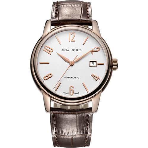 2020 New Seagull Watch Mens Business Automatic Mechanical Watch Fashion Simple Belt Waterproof Mens Watch D819.615