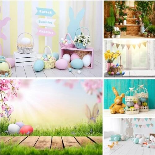 Easter Eggs Rabbit Photography Backdrops Photo Studio Props Spring Flowers Child Baby Portrait Photo Backdrops 21318FH-36