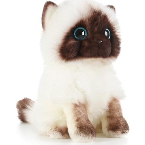 20/26cm Simulation Siamese Cat Plush Toy Blue Sequins Eyes Dolls Brown and White Face Ragdoll Cats Home Decor Cute Gift for Baby