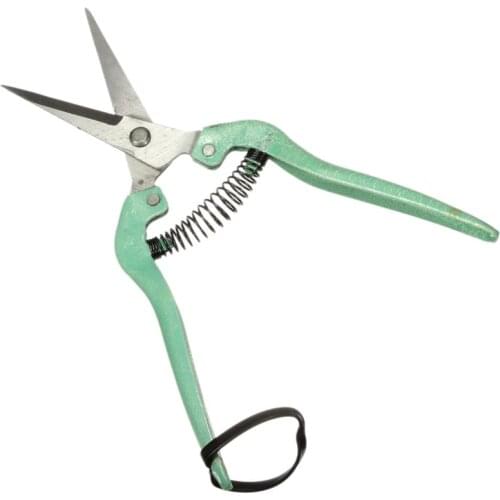 19.5cm Straight blade fruit flower leaf trimmer Garden Scissor pruner Shear pruning cut Shrub Orchard tool Plant horticulture