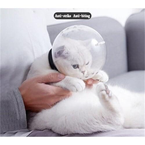 Аксессуары для кошек MamyPets China At AliExpress