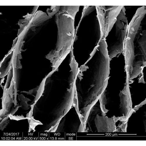 Ultralight Graphene Aerogel / Highly Elastic Graphene Aerogel / Doped CNT Graphene Aerogel