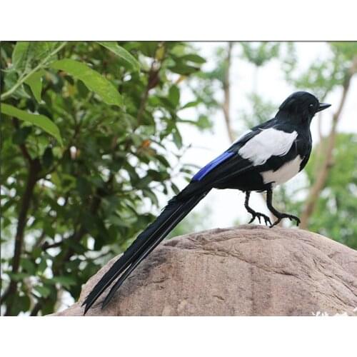 Big real life magpie toy foam&furs simulation magpie bird model gift about 45cm 2769