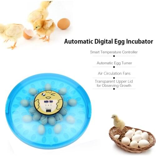 Digital egg incubator Automatic Brooder Farm Chick Hatchery machine Digital 52 eggS incubator Hatcher for goose chicken quail