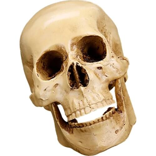 Resion Realistic Human Skull Gothic Ornament 11 X 8.5 X 6.5cm