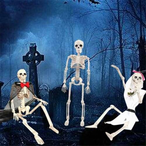 Halloween Decor People Active Model skeleton Anatomy Skeleton Skeleton Model Medical Study Supplies Party Desk Decoration