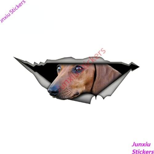 3D Car Stickers Pet Dog Decal Creative for Window Truck Camper Guitar Car Body Waterproof Scratch-Proof Car Decoration PVC15x6cm