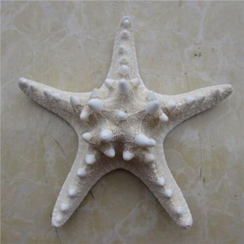 HappyKiss(6pcs/lot) Natural Five Angle Overlord White Starfish Headdress Decorate Wedding Platform Mediterranean Decorate