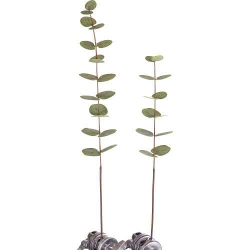 Top TOP hot2021new design 3D Christmas green leaves leaf for home office cofficeshop wedding interior decoration