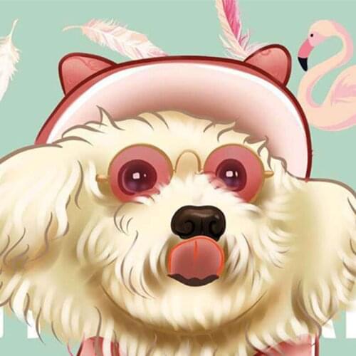 Poodle jacket Demin Coat for Chihuahua French Bulldog Puppy Costume PC1170 dropshipping