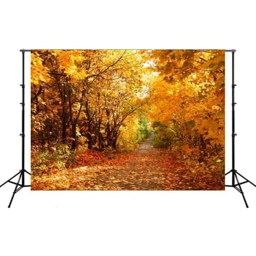 Path In Autumn Maple Forest with Yellow Leaves Backdrop Photo Background Vinyl Portrait Photography Photocall Booth Props