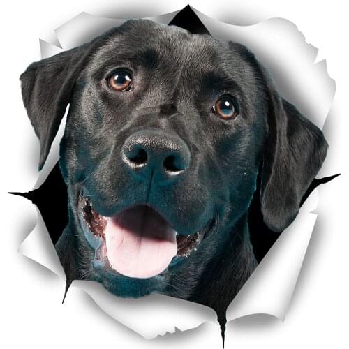Cute Black Labrador Torn Metal Car Sticker Waterproof Decal Laptop Suitcase Motorcycle Auto Accessories PVC,12cm*9cm