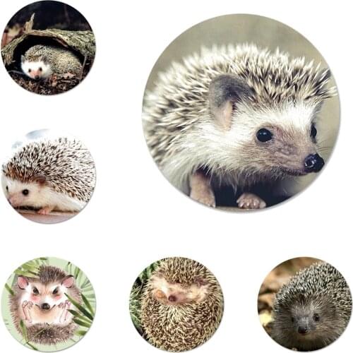 Cute Animal Little Hedgehog Icons Pins Badge Decoration Brooches Metal Badges For Clothes Backpack Decoration 58mm