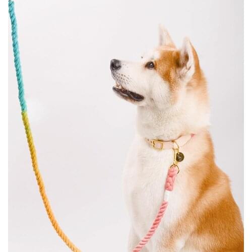Gradient Wear-resistant Braid Cotton Rope Dog Walking Traction Leash Pet Supply