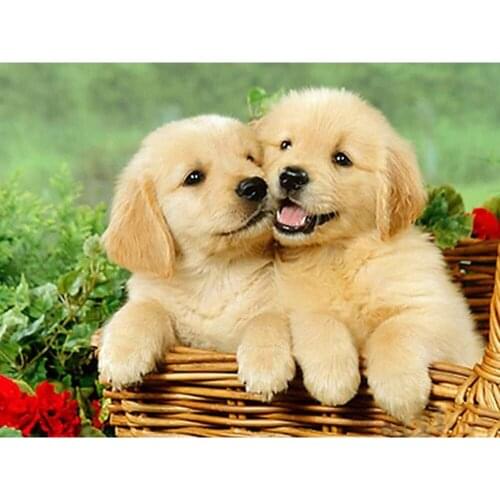 Animal Dog DIY Embroidery 11CT Cross Stitch Kits Craft Needlework Set Cotton Thread Printed Canvas Dropshipping New Design