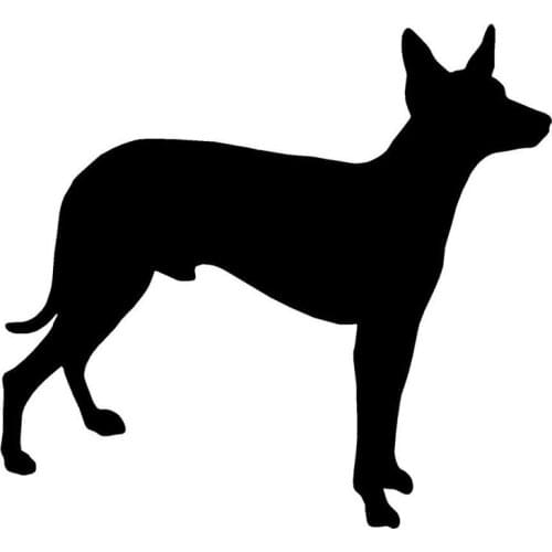 14*12.7CM Peruvian Inca Orchid Dog Window Decoration Stickers Car Styling Vinyl Decal Accessories C6-1665