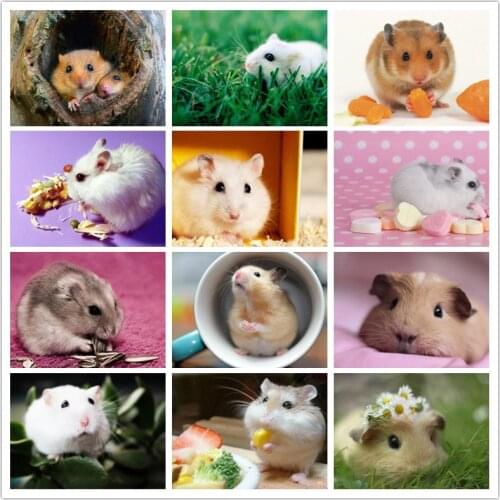 Diamond Painting Hamster Square Diamond Embroidery Animal Cross Stitch Diamond Mosaic Handmade Picture