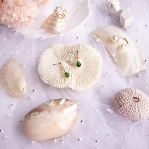 Natural coral photo props ins net celebrity nail art Korean decoration jewelry shell conch photography shooting