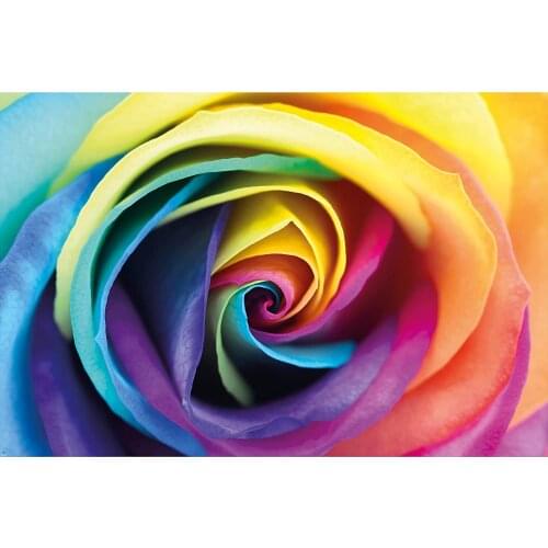 JMINE Div 5D rainbow rose flower Full Diamond Painting cross stitch kits art High Quality Floral 3D paint by diamonds