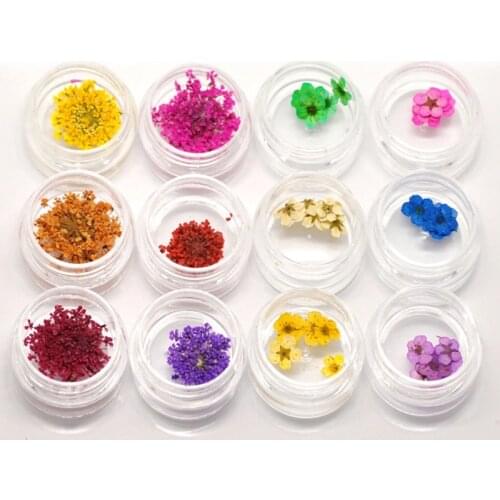 DoreenBeads Natural Dried Flowers Resin Crafts Filling Materials Nail Art Tools Silicon Mold Filler Glue Material 1 Set