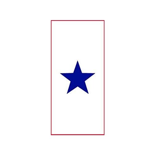American Vinyl 1 Blue Star Military Service Flag Sticker (Army one Parent mom dad Served)