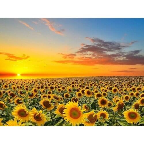 5D Poured Glue Diamond Painting Kits Scalloped Edge Cross Stitch Sunflower Embroidery Landscape DIY Mosaic Full Drill Decoration