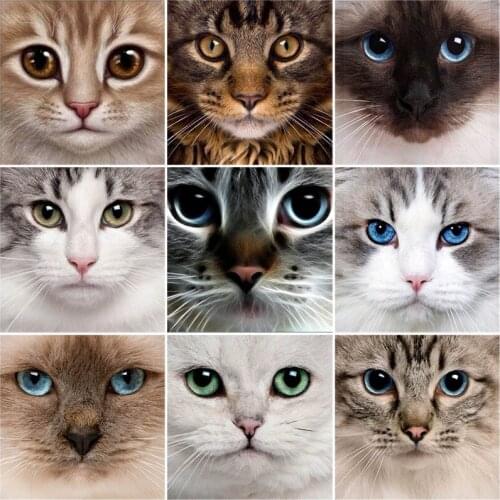 5D DIY Diamond Painting Cat Animal Diamond Embroidery Cross Stitch Kits Mosaic Rhinestones Paintings Full Round Drill Home Decor