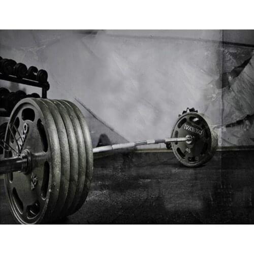 Diamond Embroidery Fitness barbell sport pattern Full Square Diamond Painting Cross Stitch kit Black White Mosaic decor BY1347