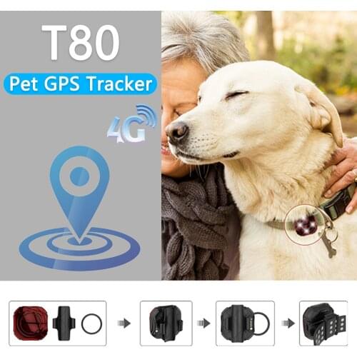 Kids Mini 4G GPS Tracker T80 For Child bike car pet with SOS button and 4 LED Lights With 900mAH Battery