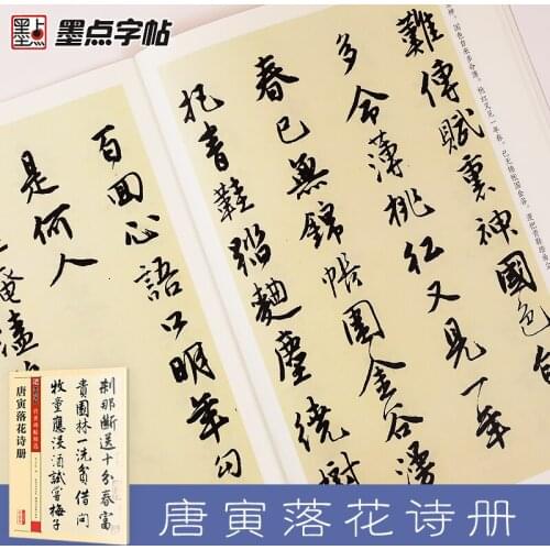 Beginners Stone Inscription Copybook Tang Yins Poetry Collection for Brush Chinese Calligraphy Writing Practice Modian