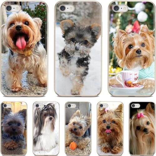 Yorkshire terrier dog puppy Pattern Soft Cover For Samsung Galaxy J1 J2 J3 J4 J5 J6 J7 J8 Plus 2018 Prime 2015 2016 2017 EU