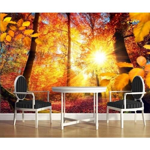 Autumn Trees Rays of light Trunk tree Sun Nature wallpaper,hotel restaurant coffee shop living room tv sofa wall bedroom murals