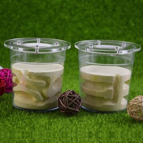 Cup Shape Imitation Original Ecological Nest Insects Breeding Nest Ants Farm House Small Community Suitable