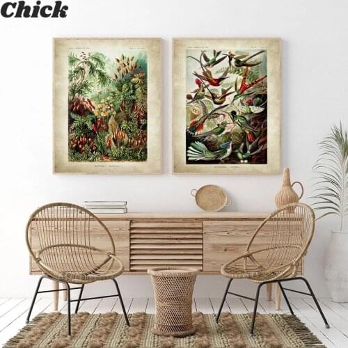 Biology Poster Palm Tree Prints Retro Hummingbird Botanical Garden Tropical Wall Art Canvas Painting Picture Decorative Painting