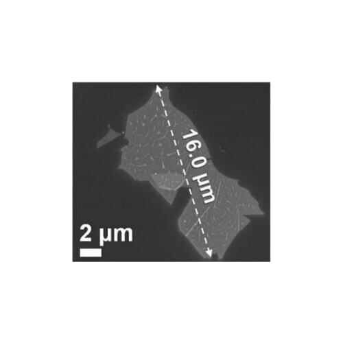 Oversized Nb2C nanosheets（gt10μm