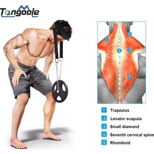 Neck Muscles Builder Chain Equipment Exercise Trainer Gym D Shackle Resilient Weight Lifting Adjustable Strength Head Harness