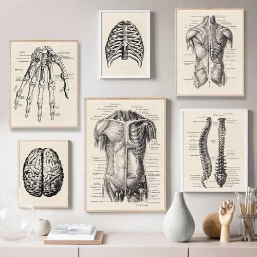 Canvas Painting Human Anatomy Artwork Poster Medical Muscle Skeleton Picture Print Education Hospital Clinic Modern Wall Decor