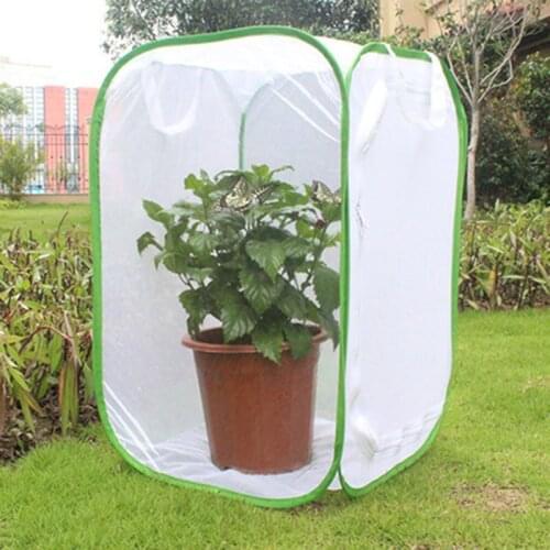 Hedahlia Seedling Pots