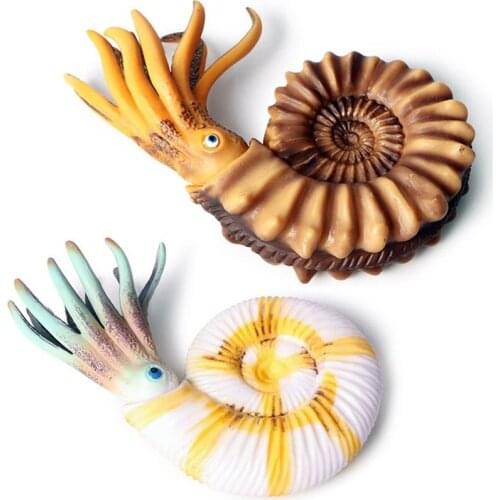 Real Nautilus Model Toys Sea Life Simulation Animal Model artificial Nautilus toy Biology Learning Educational science Gift Kids